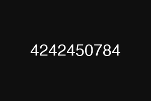 4242450784