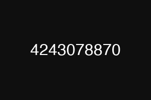 4243078870