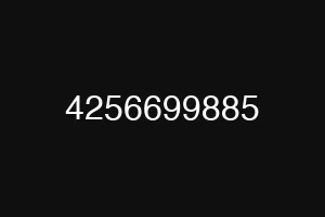 4256699885