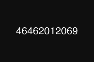 46462012069