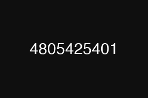 4805425401