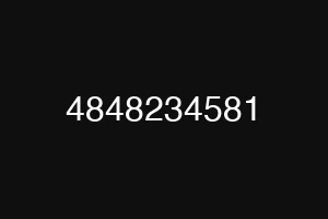 4848234581