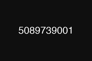 5089739001